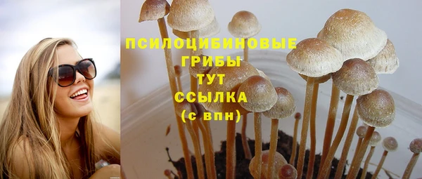 не бодяженный Нягань