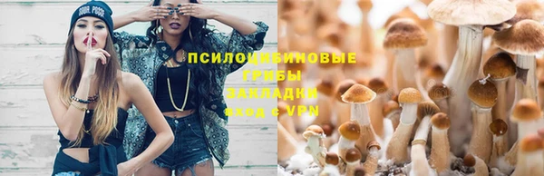 соль курить ск Нязепетровск