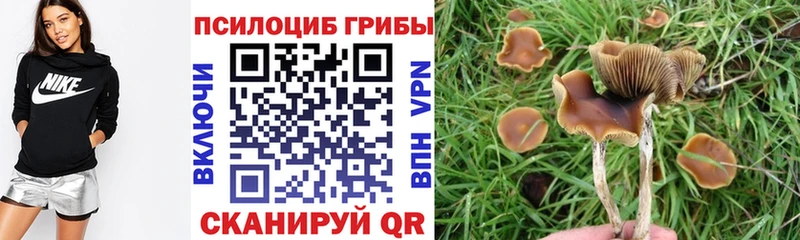 Галлюциногенные грибы прущие грибы  купить закладку  Партизанск 