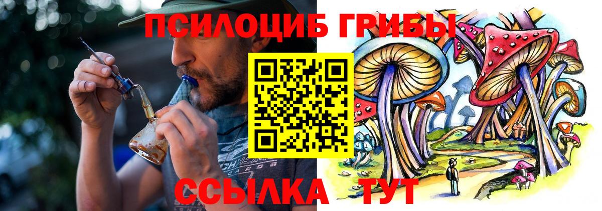 Галлюциногенные грибы Magic Shrooms  продажа наркотиков  Партизанск  Вход с VPN  Псилоцибиновые грибы мицелий 